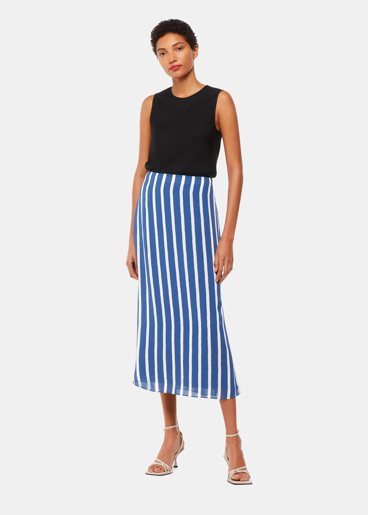 Blue Eliza Stripe Printed Skirt