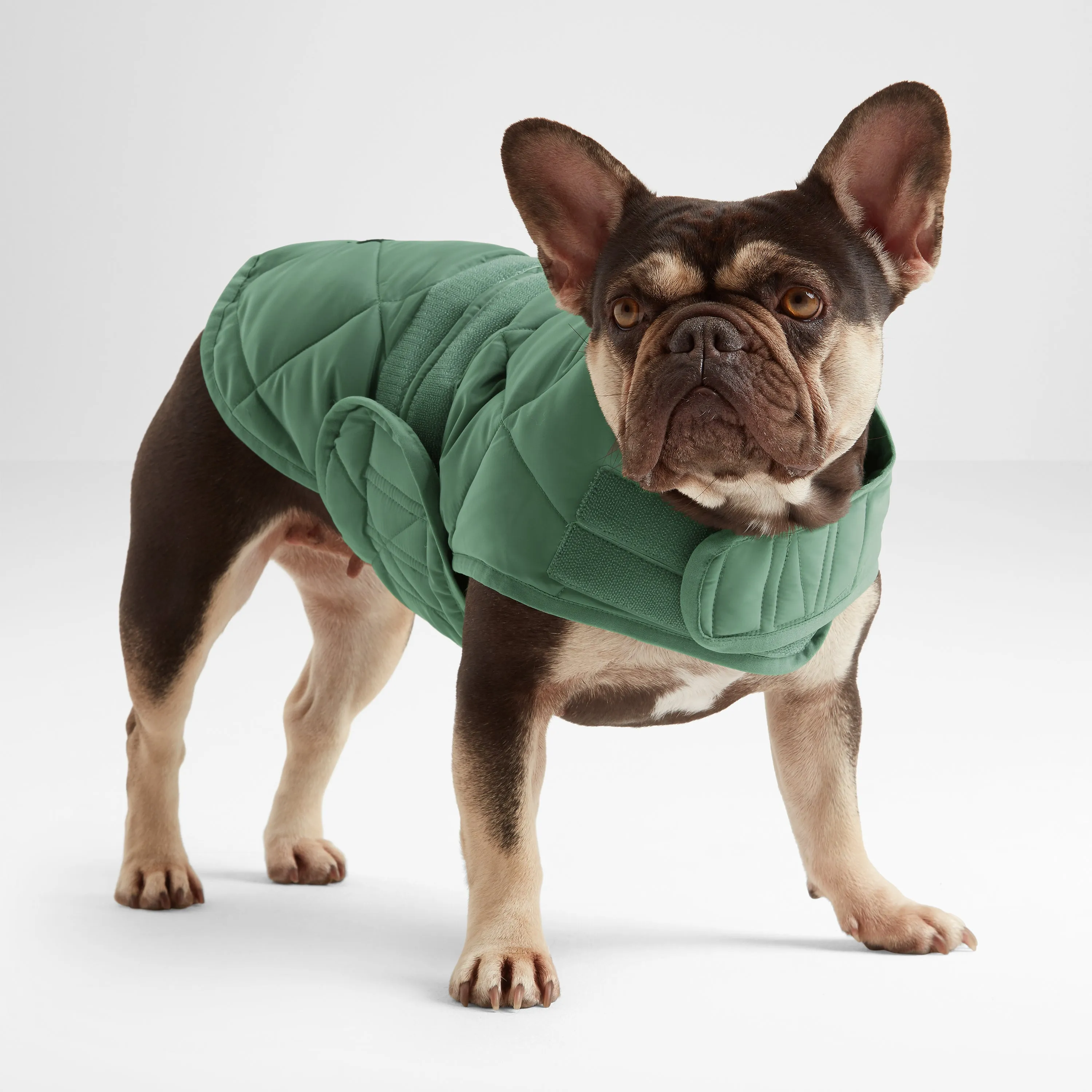 Fido Padded Dog Coat XS - Faded Khaki