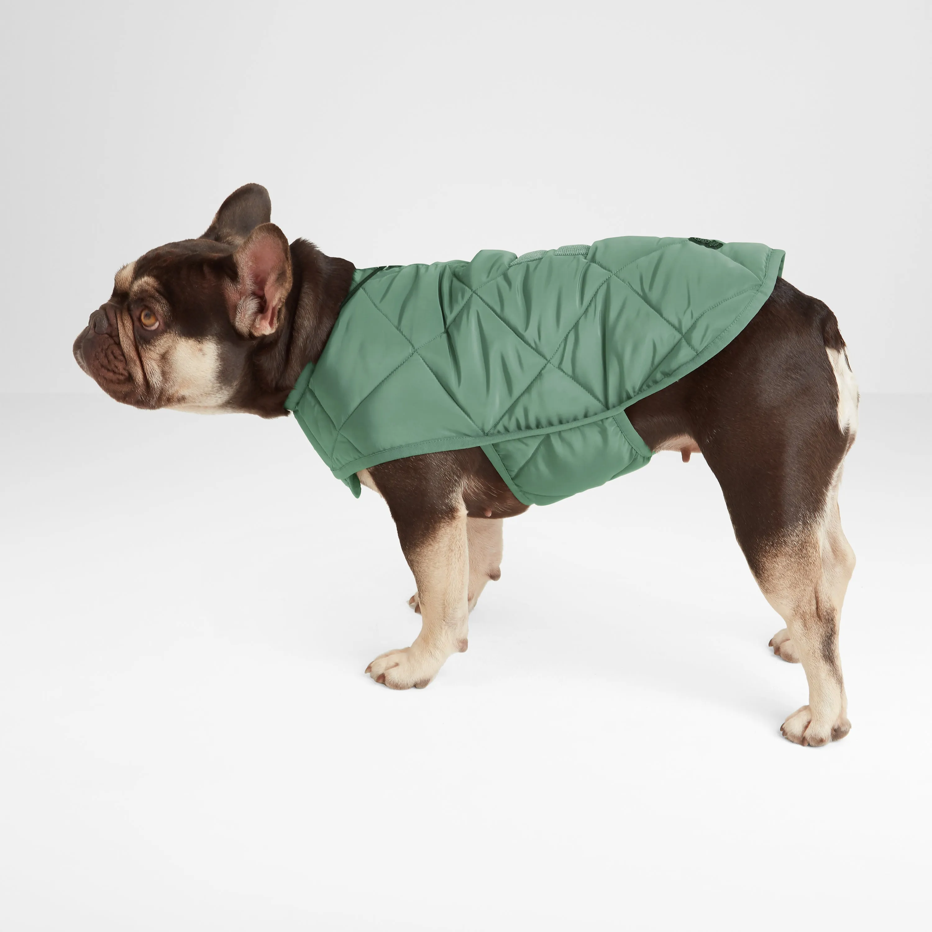 Fido Padded Dog Coat XS - Faded Khaki