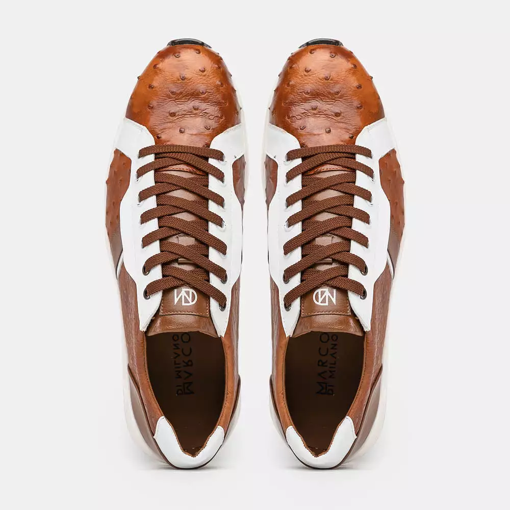 Lyon II - Brandy/White