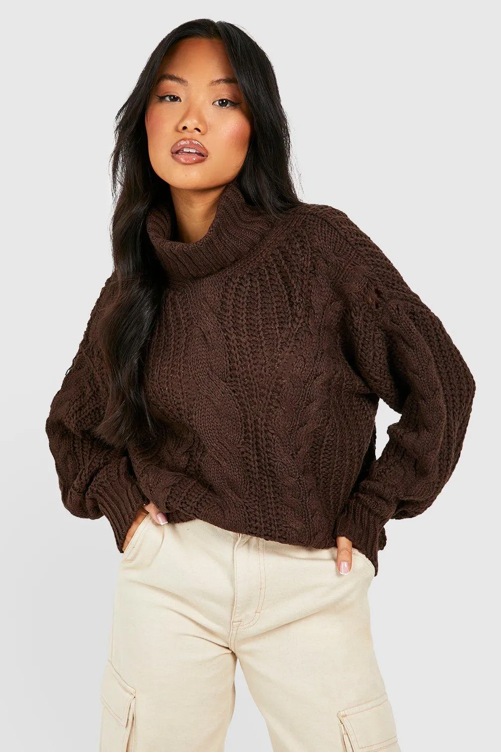 Petite Turtleneck Cable Knit Chunky Sweater